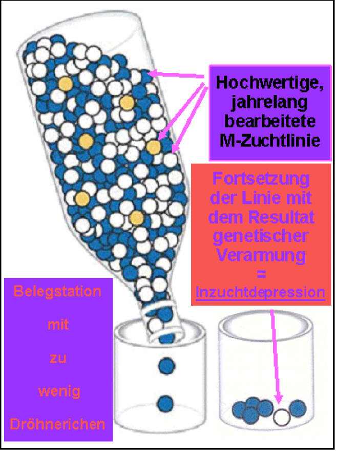 Gewichtung der Anzahl der Dröhneriche als Teil der Leistungsprüfung